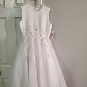 Ball Gown/ Dress